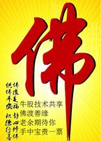 全国牛散争霸粉丝群