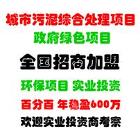 政府绿色项目 年利润600万