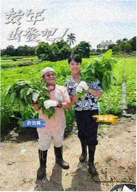 韩国电影网《尹食堂》美食治愈韩国综艺封面