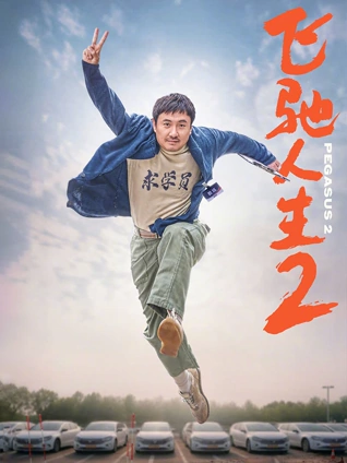 柠檬与盐 电影海报