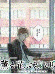青苹果影视慢综艺深夜书桌封面