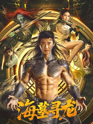 铁皮勋章 西瓜电影战争片海报