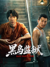 夜航西飞职业剧集免费追剧海报